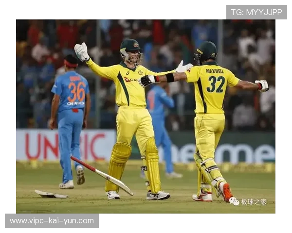 印度主场取胜，全场观众欢呼不止，印度获胜