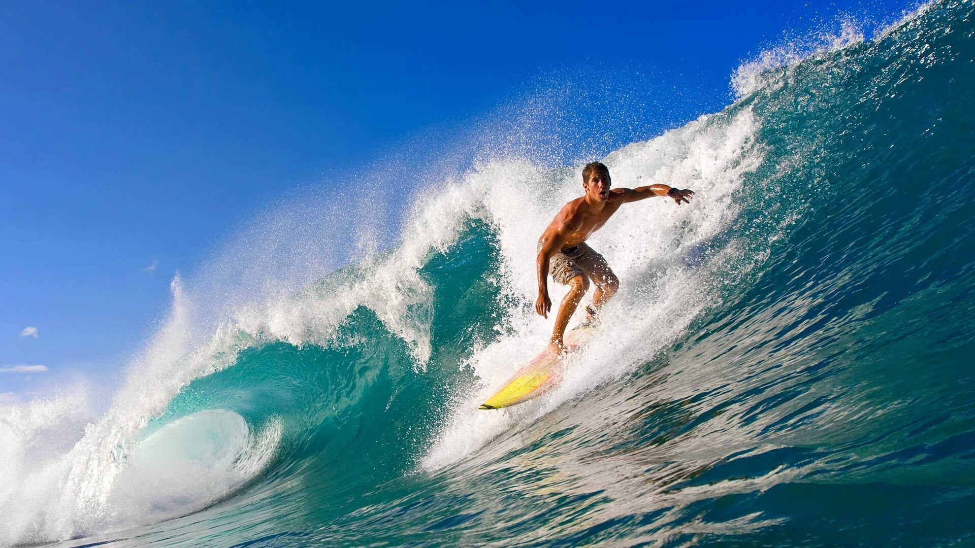 体育科研成果应用推广，体育科研成果应用推广方案